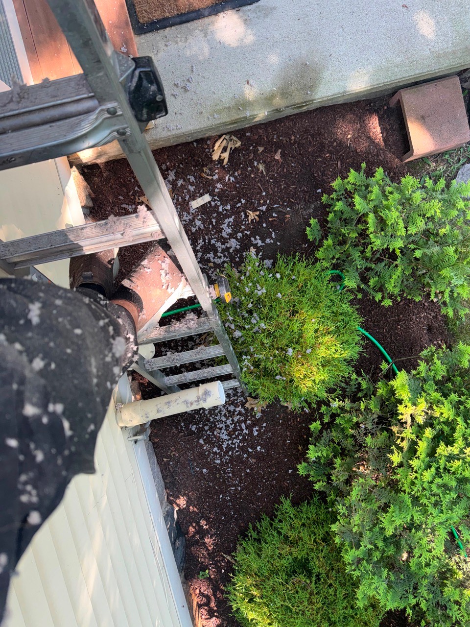 Ladder access for exterior dryer vent service in Lexington MA