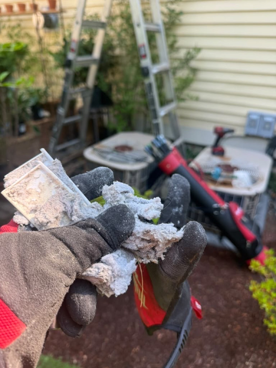 Lint removed during dryer vent cleaning in Lexington MA
